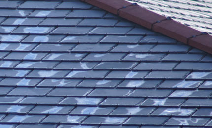 Management of Moisture in Buildings
